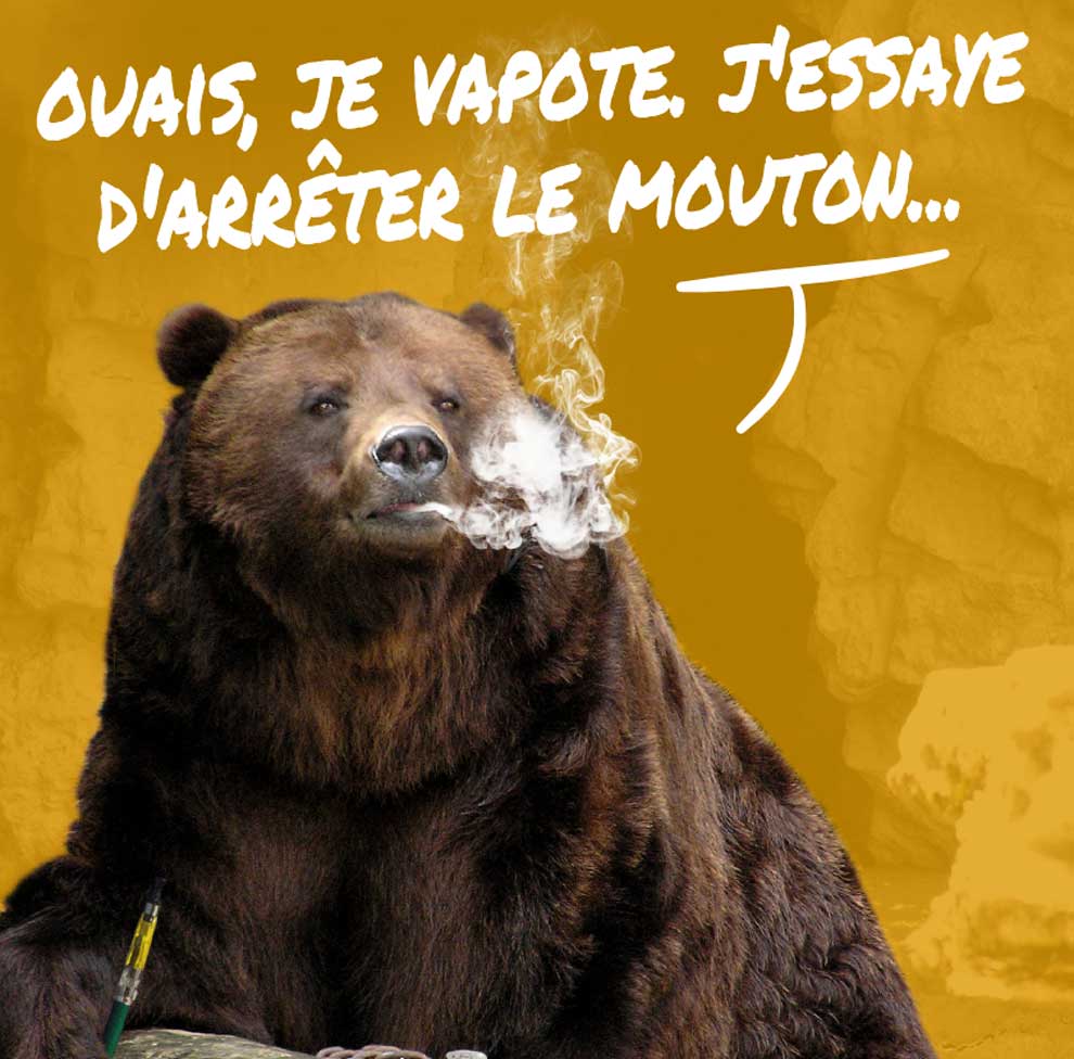 Publicité créative ours qui vapote