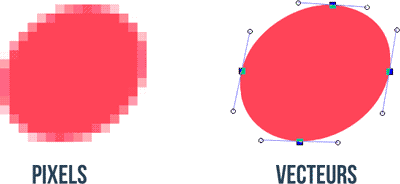 Comparaison d'une image pixel avec une image vectorielle